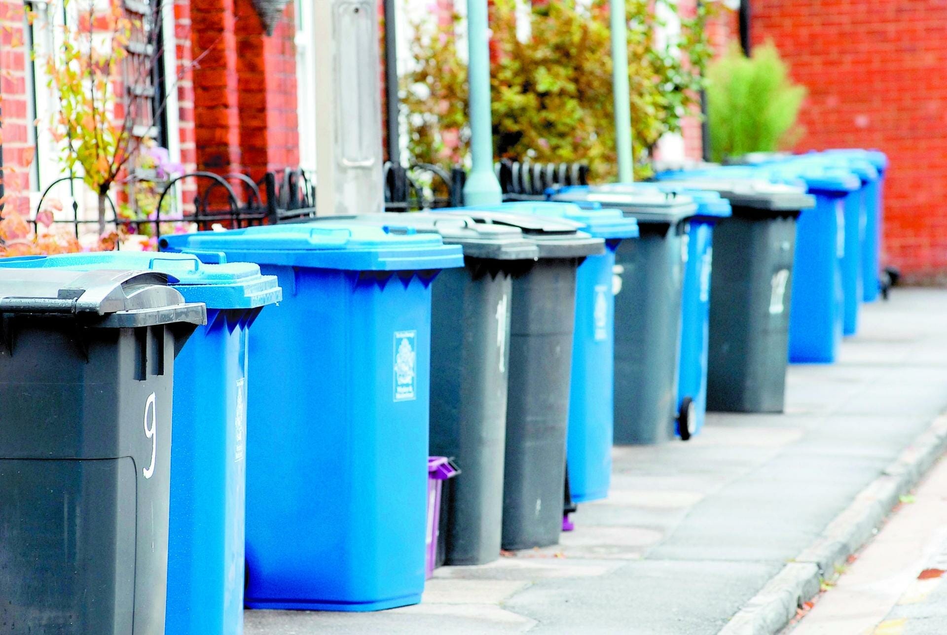 Royal Borough Windsor and Maindenhead Find your bin collection